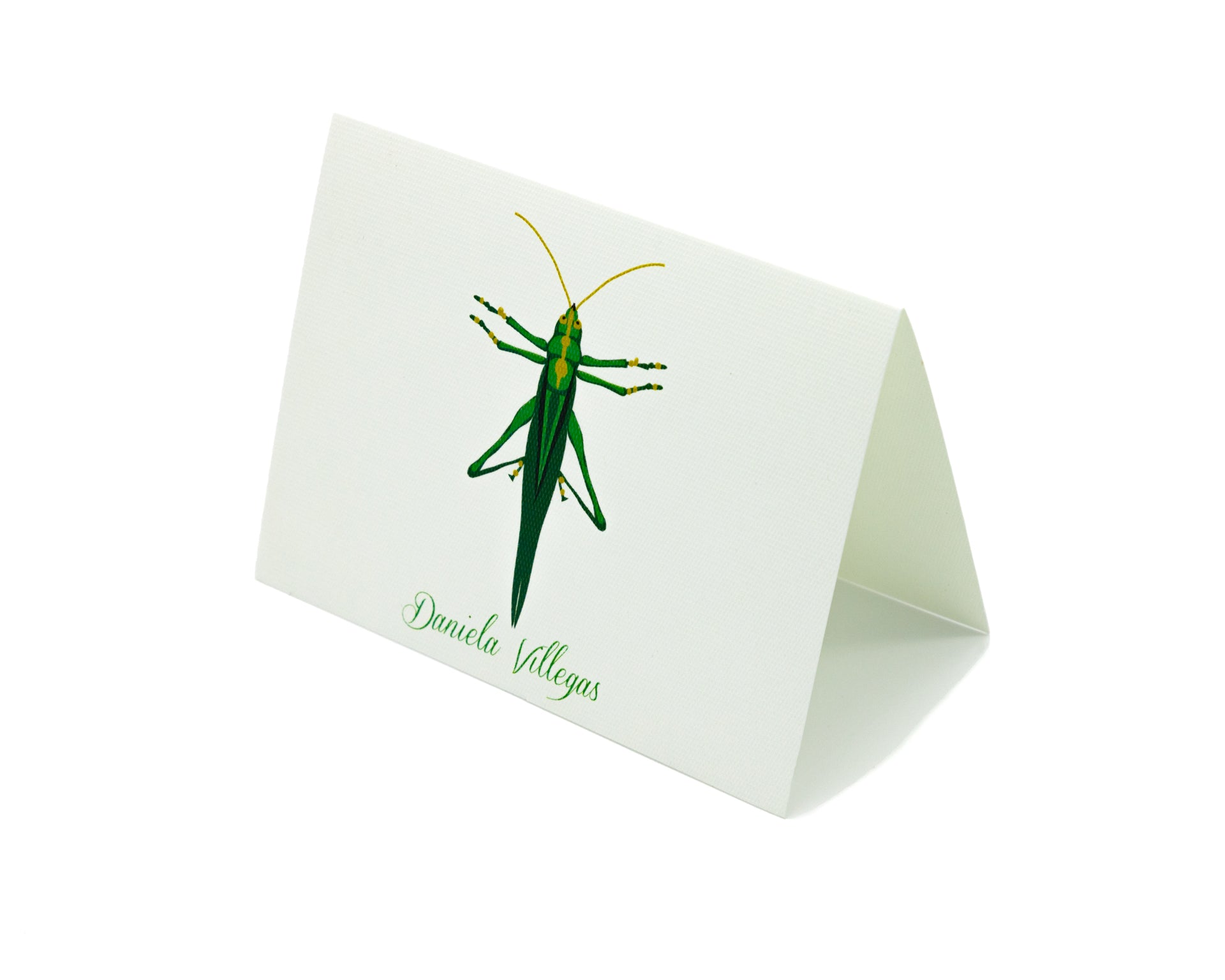 Tarjeta Grillo Mediana | INSECTOS | Scribanus