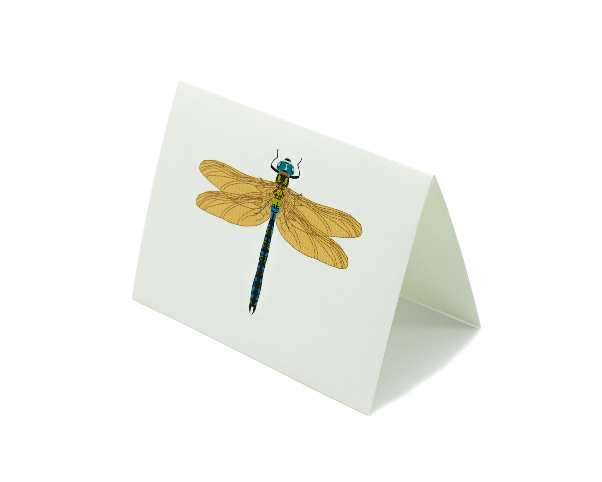 Tarjeta Libélula Mediana | INSECTOS | Scribanus