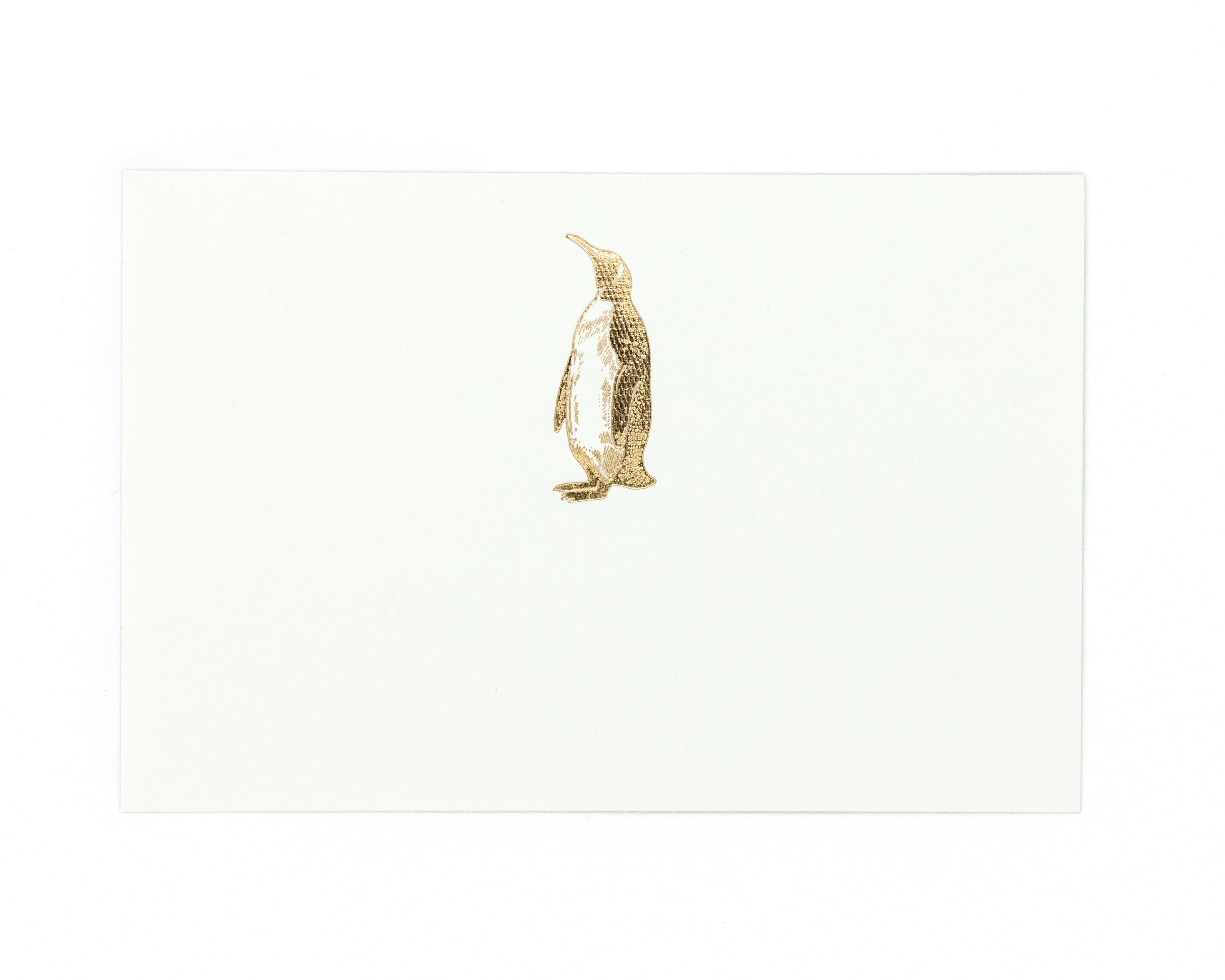 Tarjeta Pingüino Mediana | NATURALEZA | Scribanus