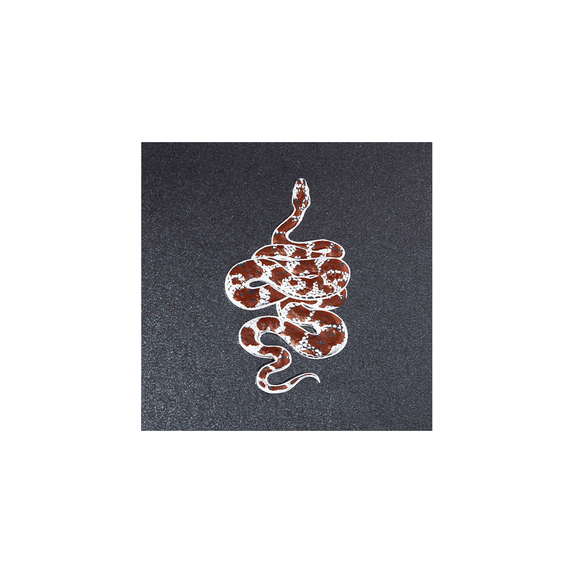 Tarjeta Serpiente Mini Doble | NATURALEZA | Scribanus