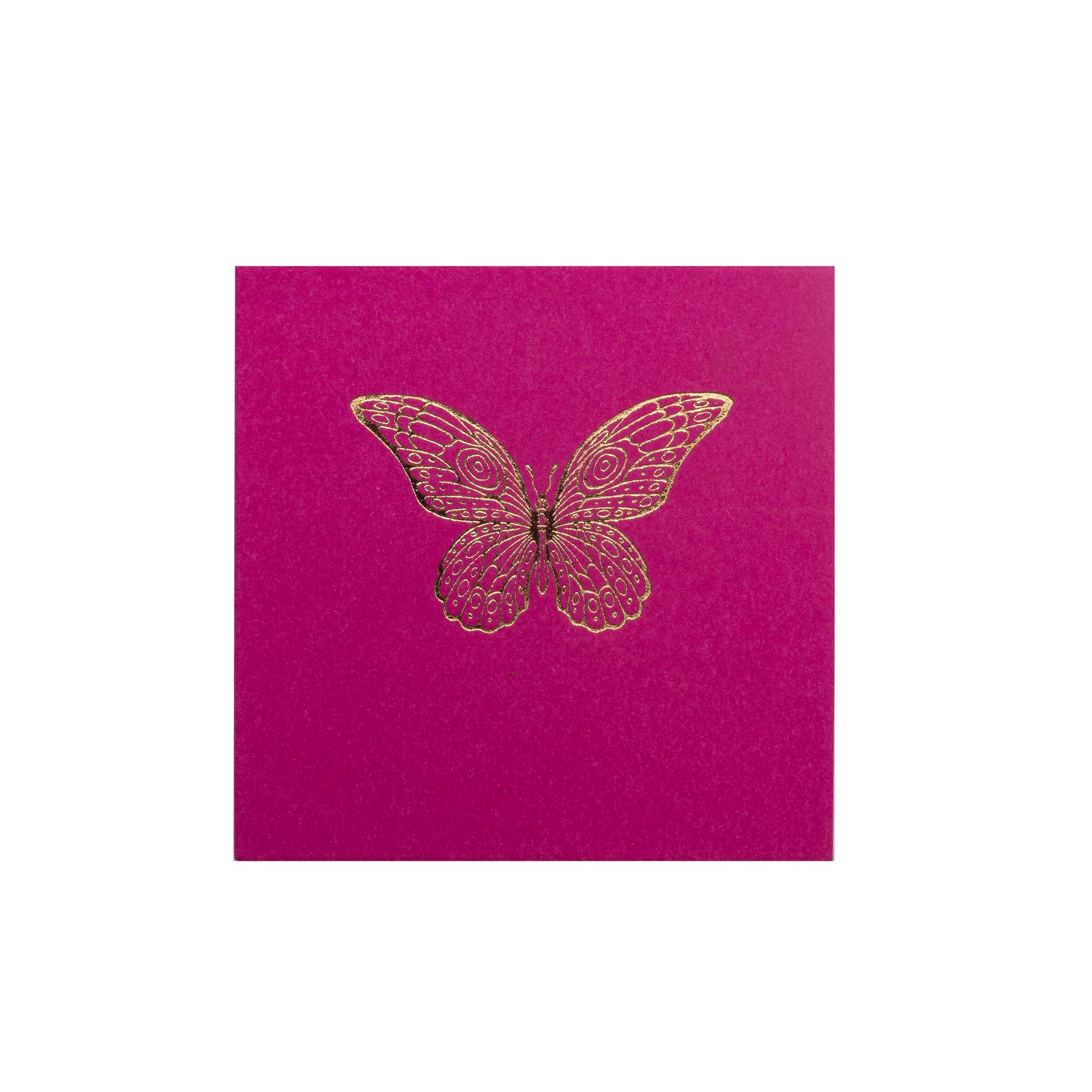 Tarjeta Mariposa Mini