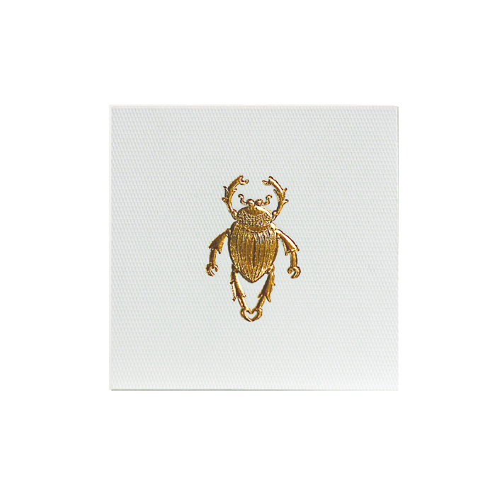 Tarjeta Escarabajo Mini doble