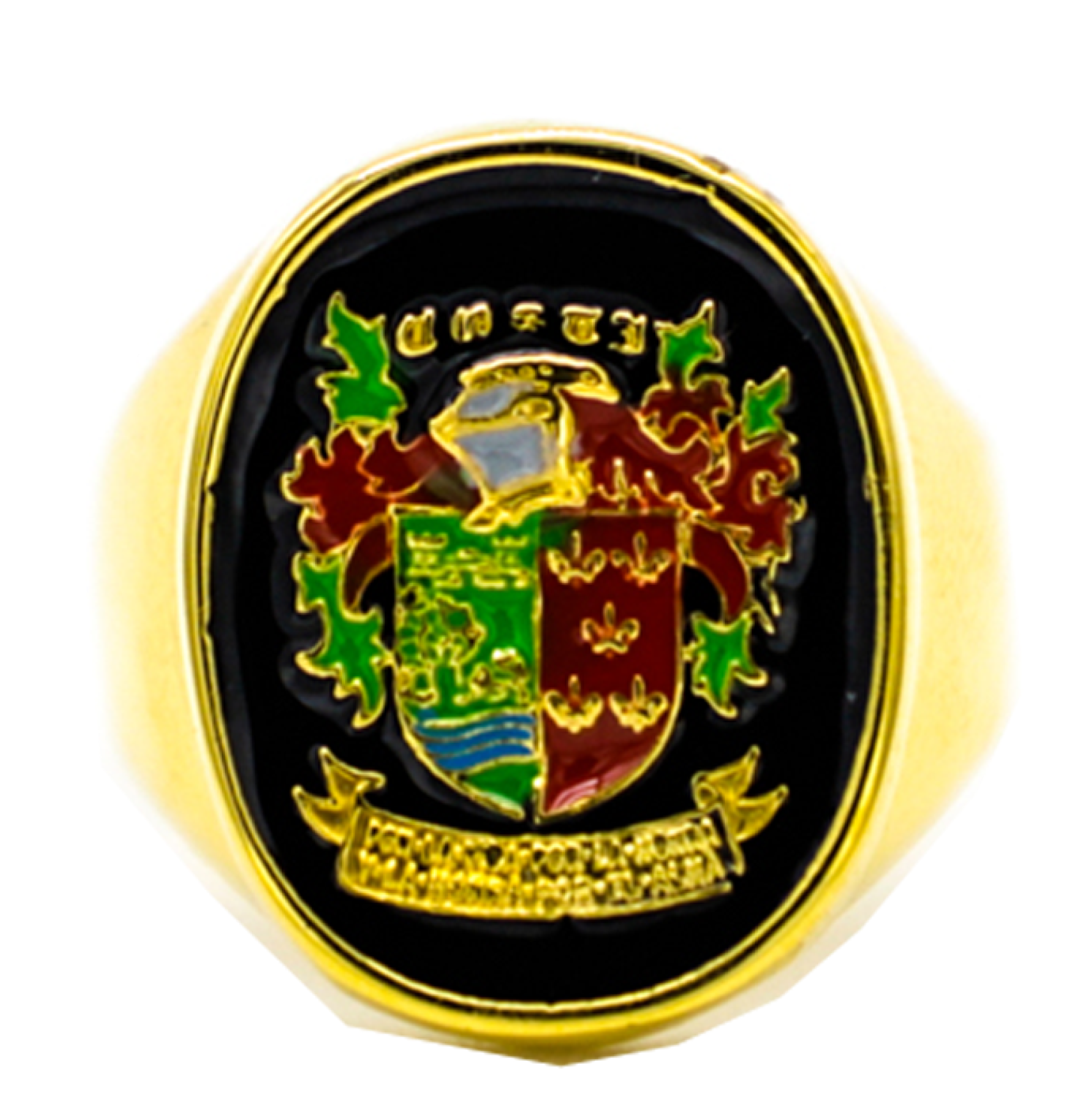 Costi family heraldic enamel