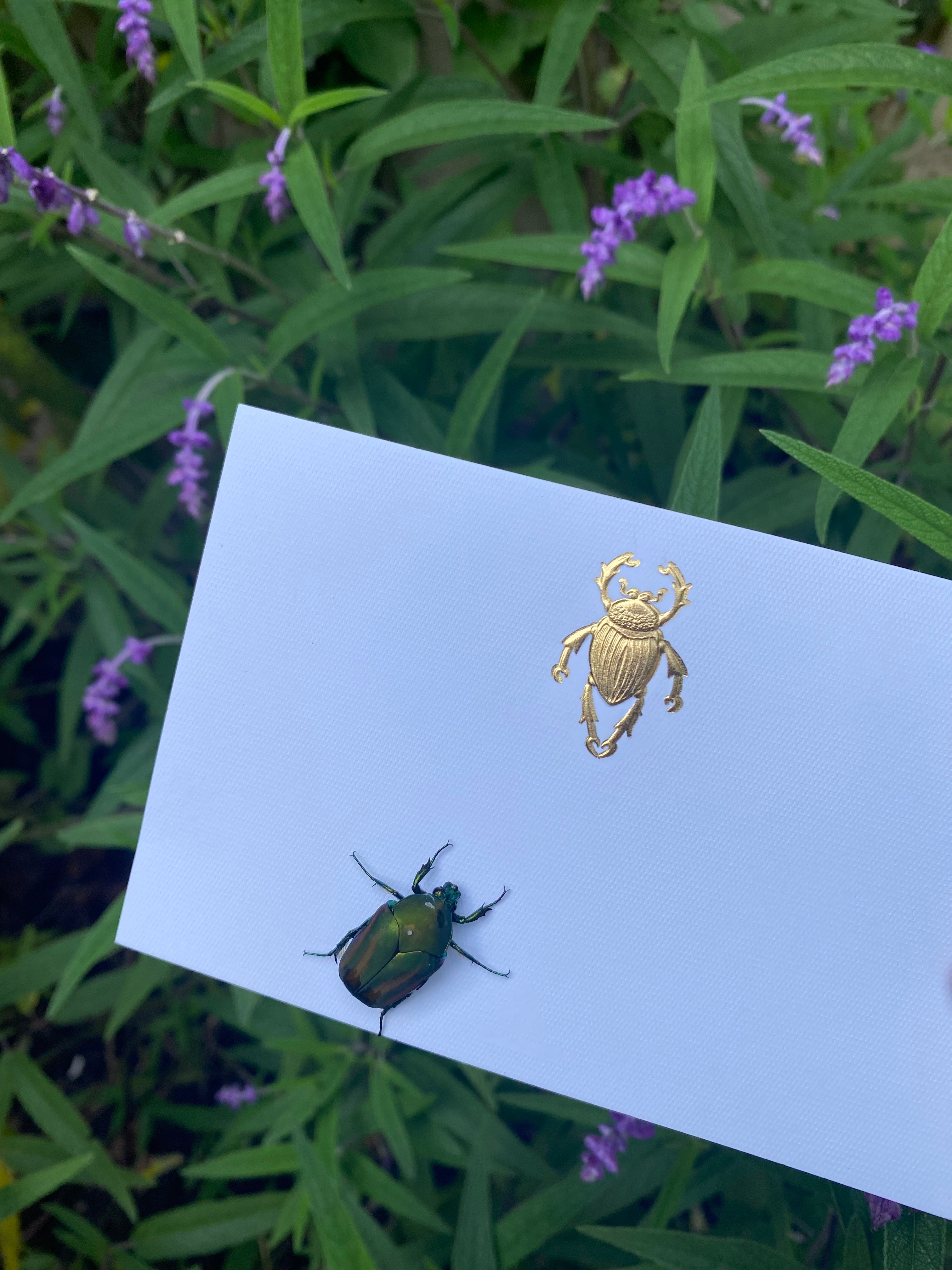 Tarjeta Escarabajo Mediana