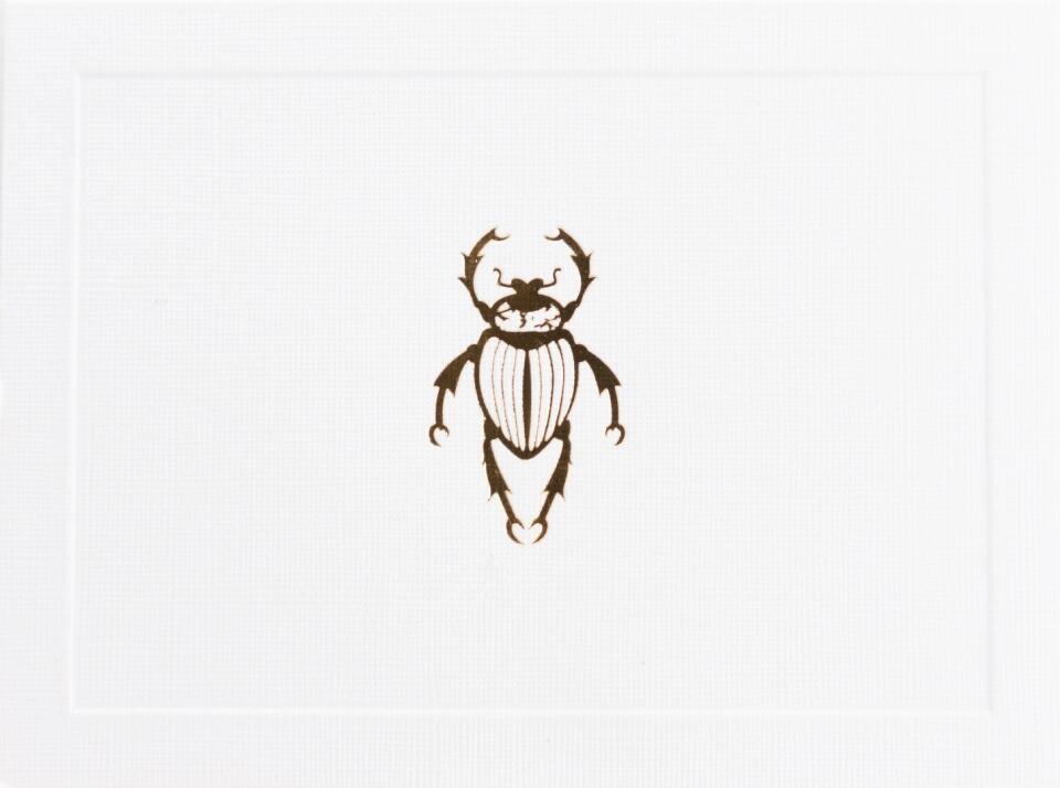 Escarabajo - Caja acrílico adorno personalizada