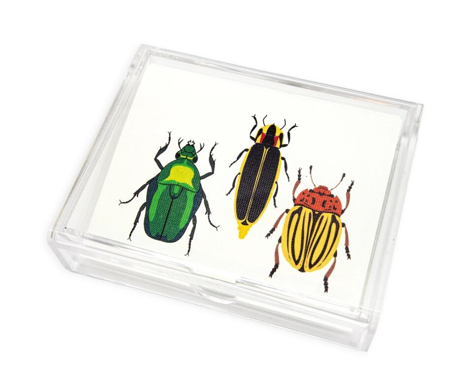 Caja Acrílica con Tarjetas Escarabajos - Personalizable