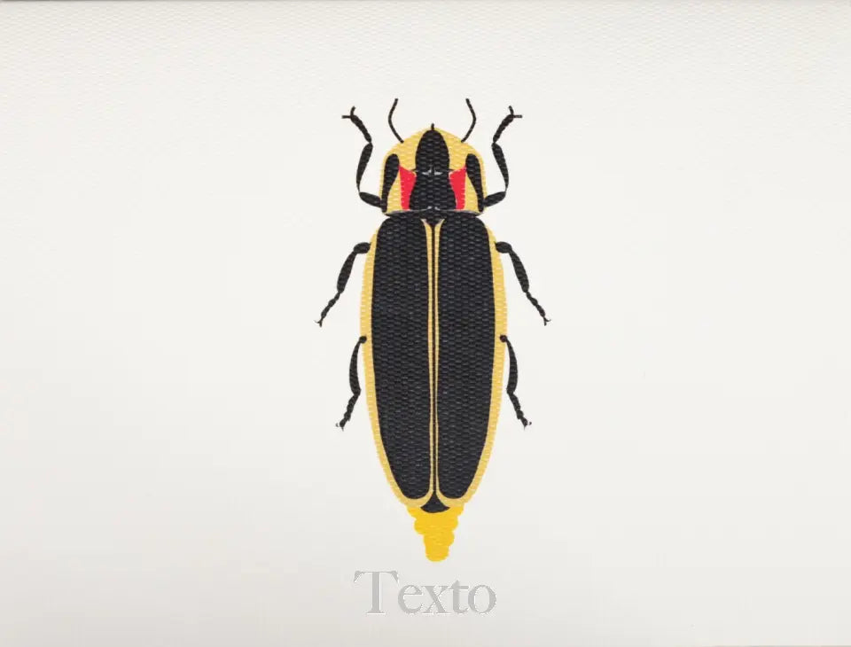 Caja Acrílica con Tarjetas Insectos + Adorno - Personalizable