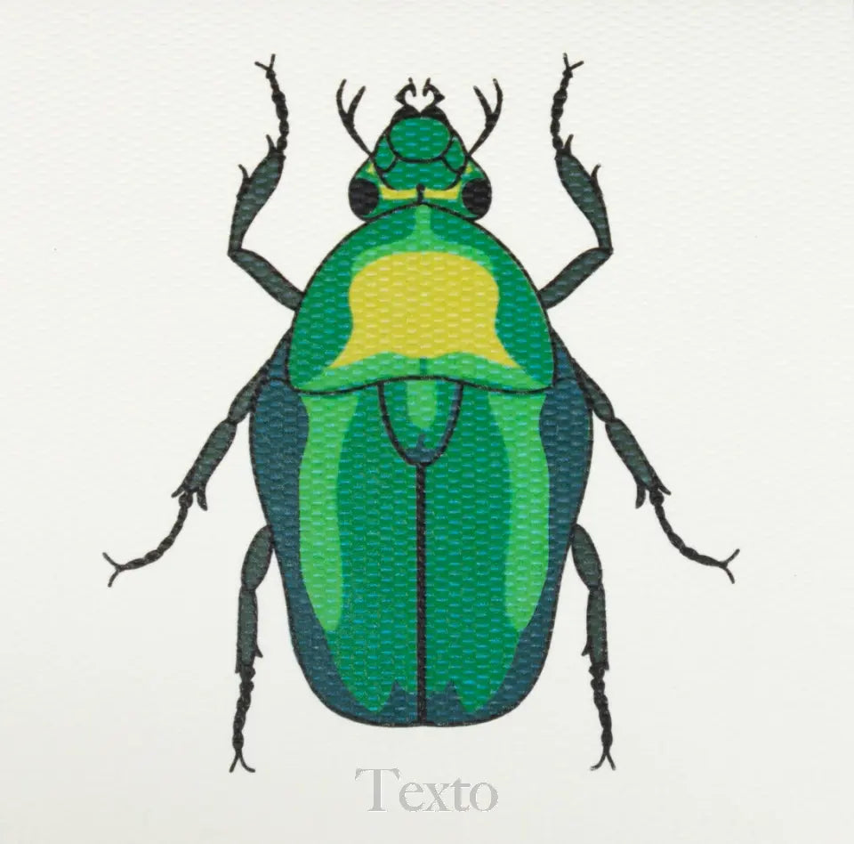 Caja Acrílica con Tarjetas Insectos + Adorno - Personalizable