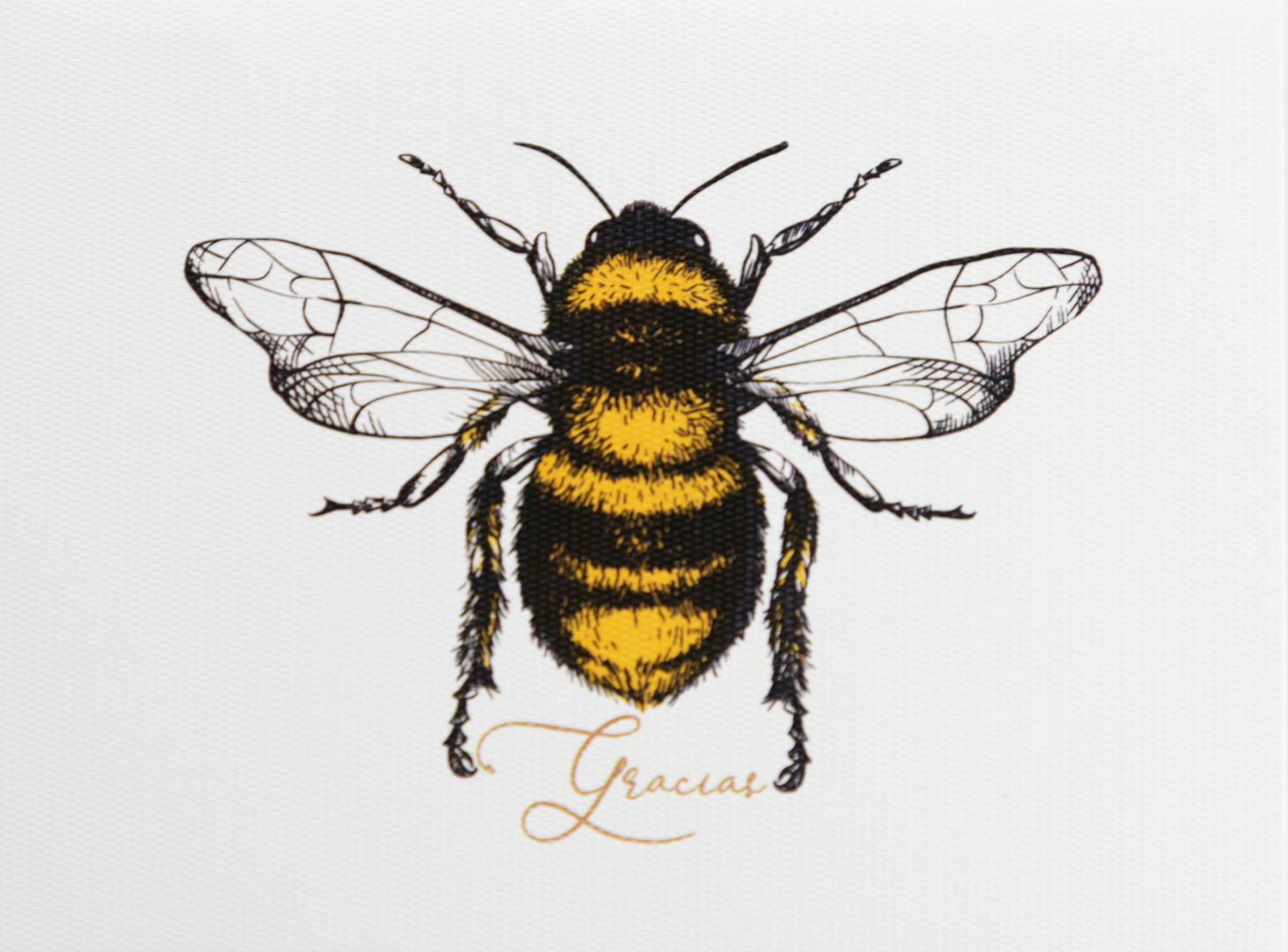 Acrylic Bee Print Box "Thank You"