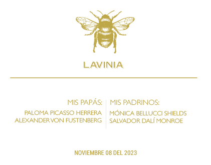 Bolo Abeja dorada estuche acrilico | C: Bolos | Scribanus