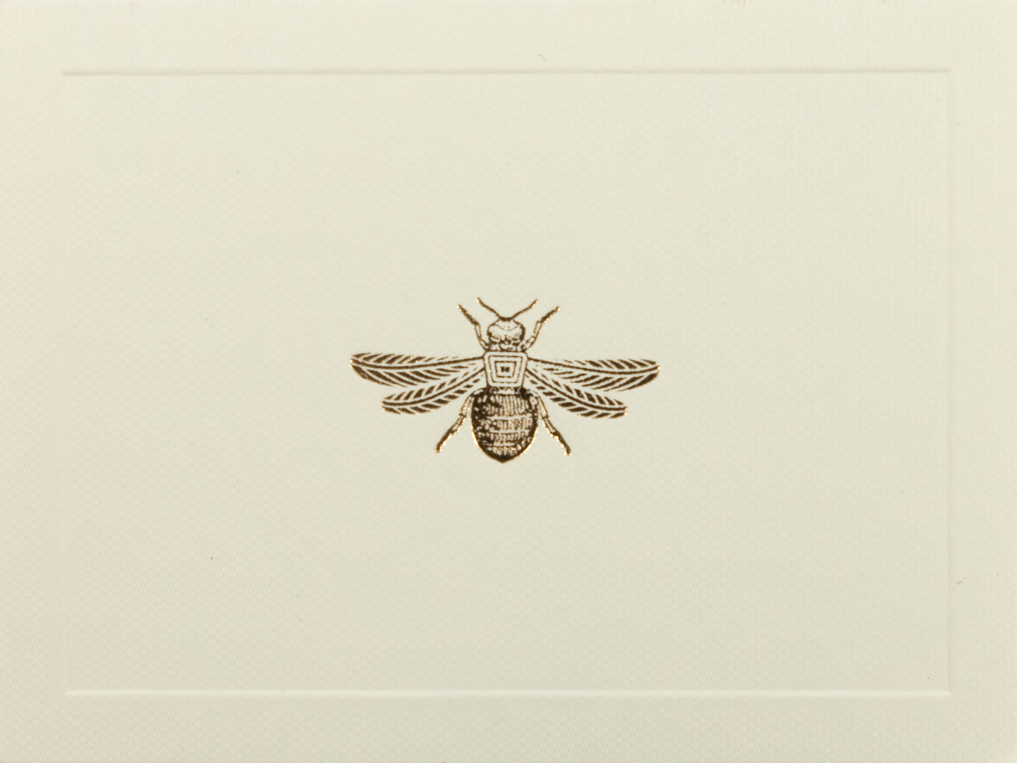 Caja Vidrio Mediana Abeja Tarjetas y Sobres | CT: Cajas Vidrio | Scribanus