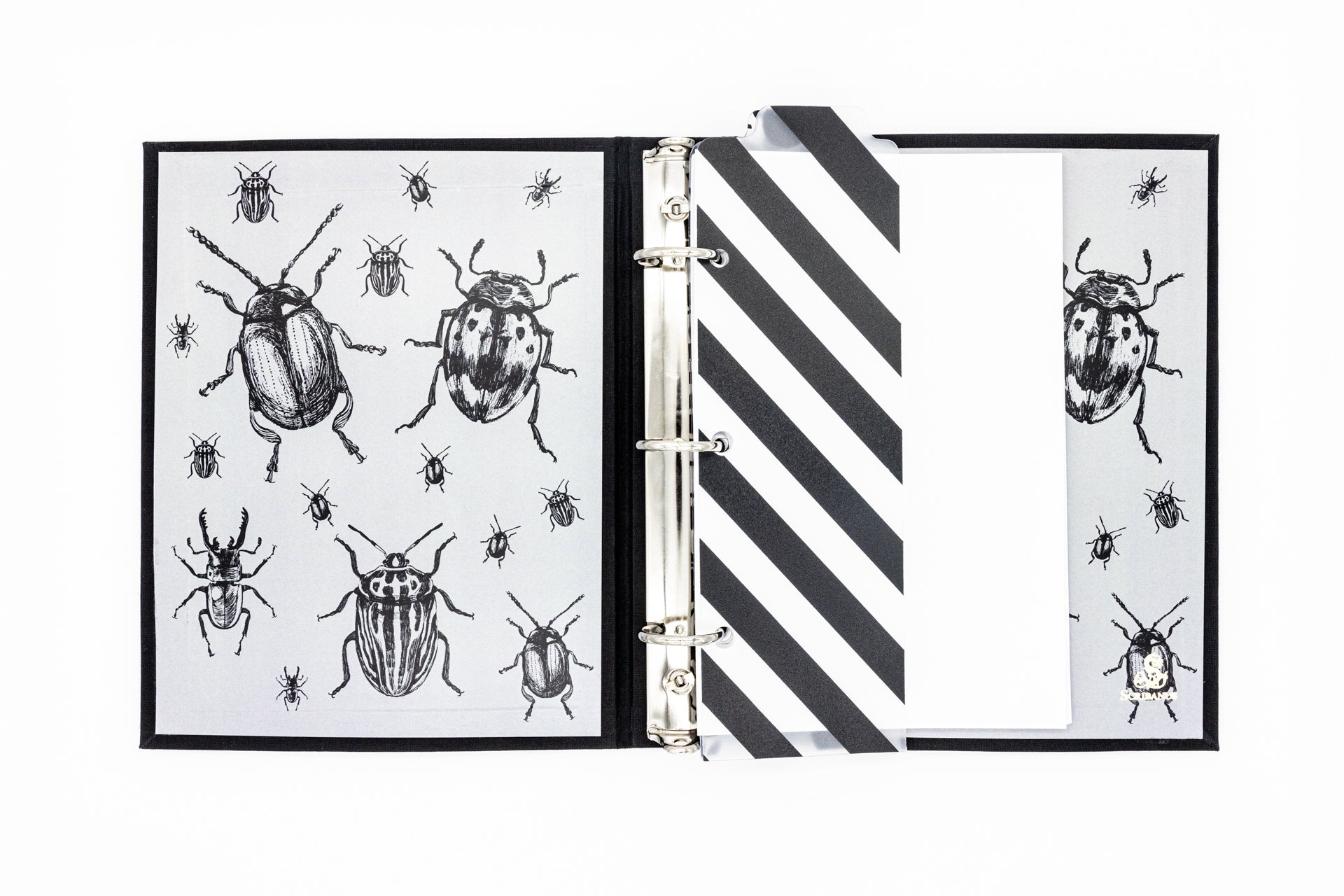 Carpeta Escarabajo | AP: Carpetas | Scribanus