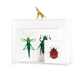 Caja Acrílica con Tarjetas Insectos + Adorno