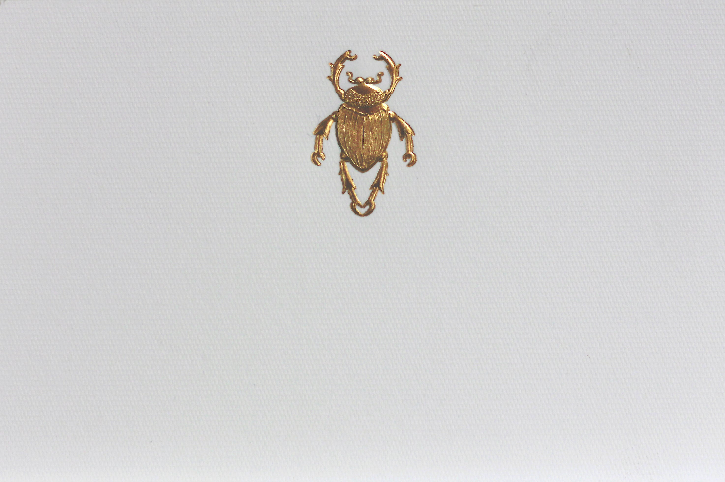 Kit Escarabajo