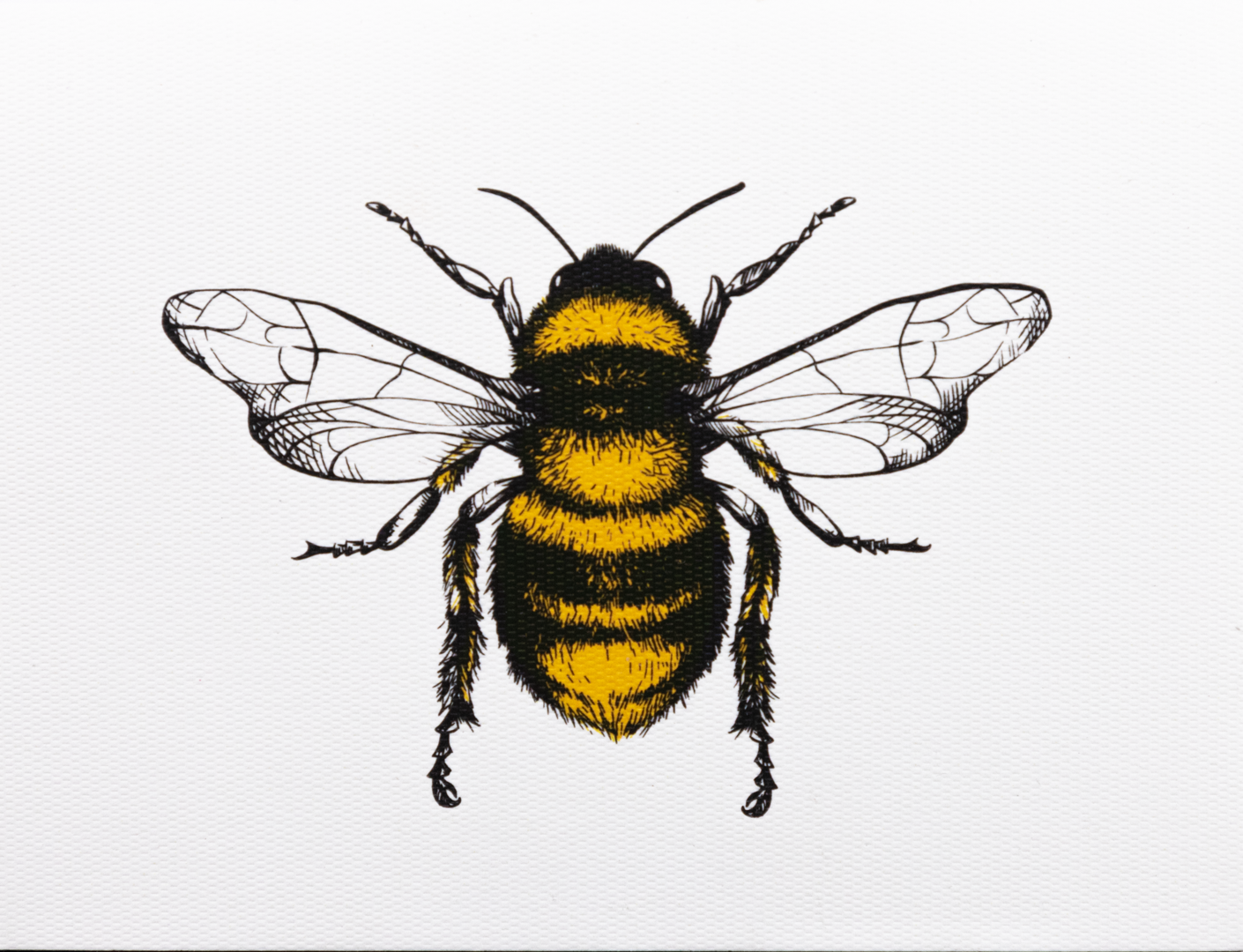 Tarjeta Abeja Mediana | Tarjetas | Scribanus