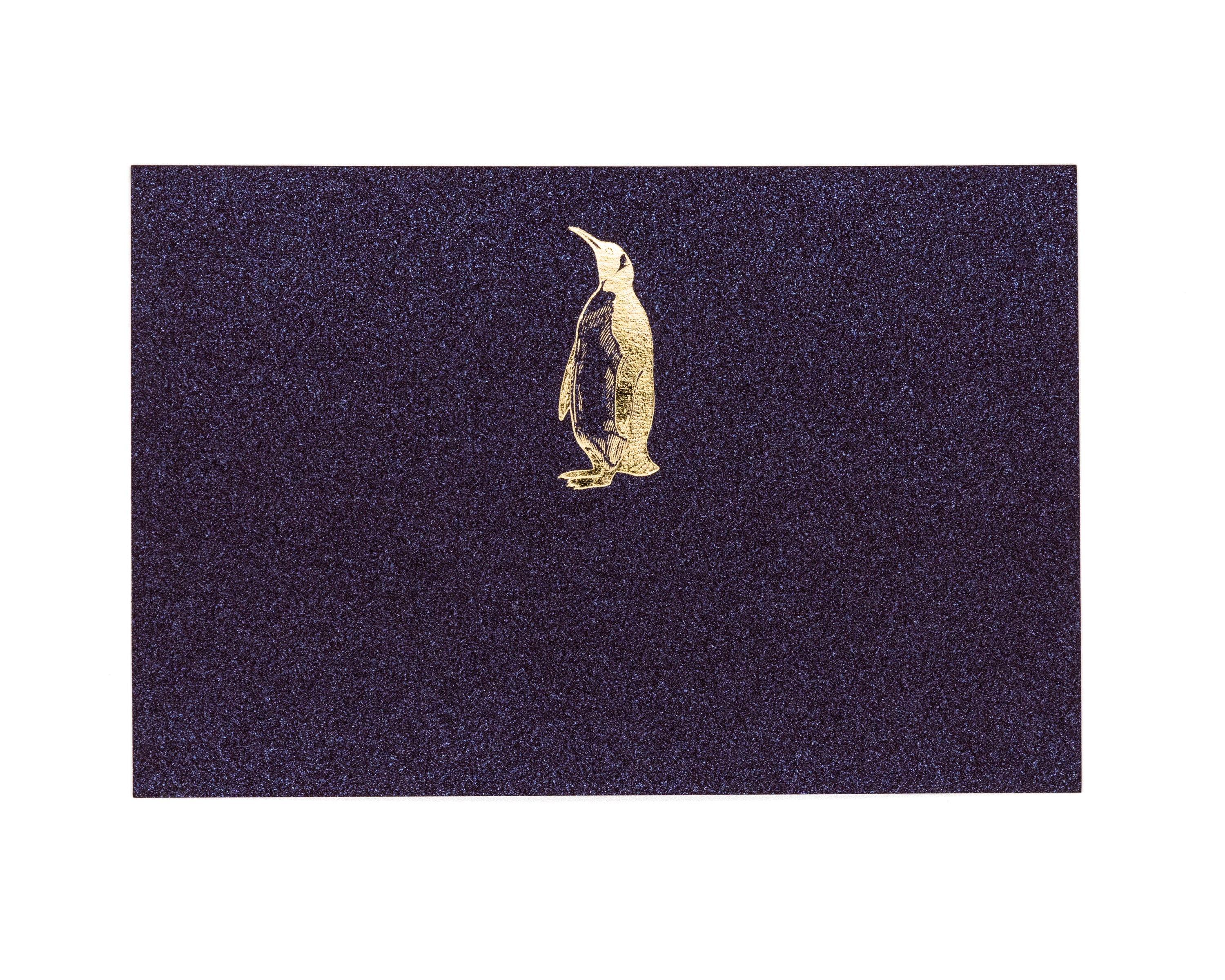 Tarjeta Pingüino Mediana | NATURALEZA | Scribanus