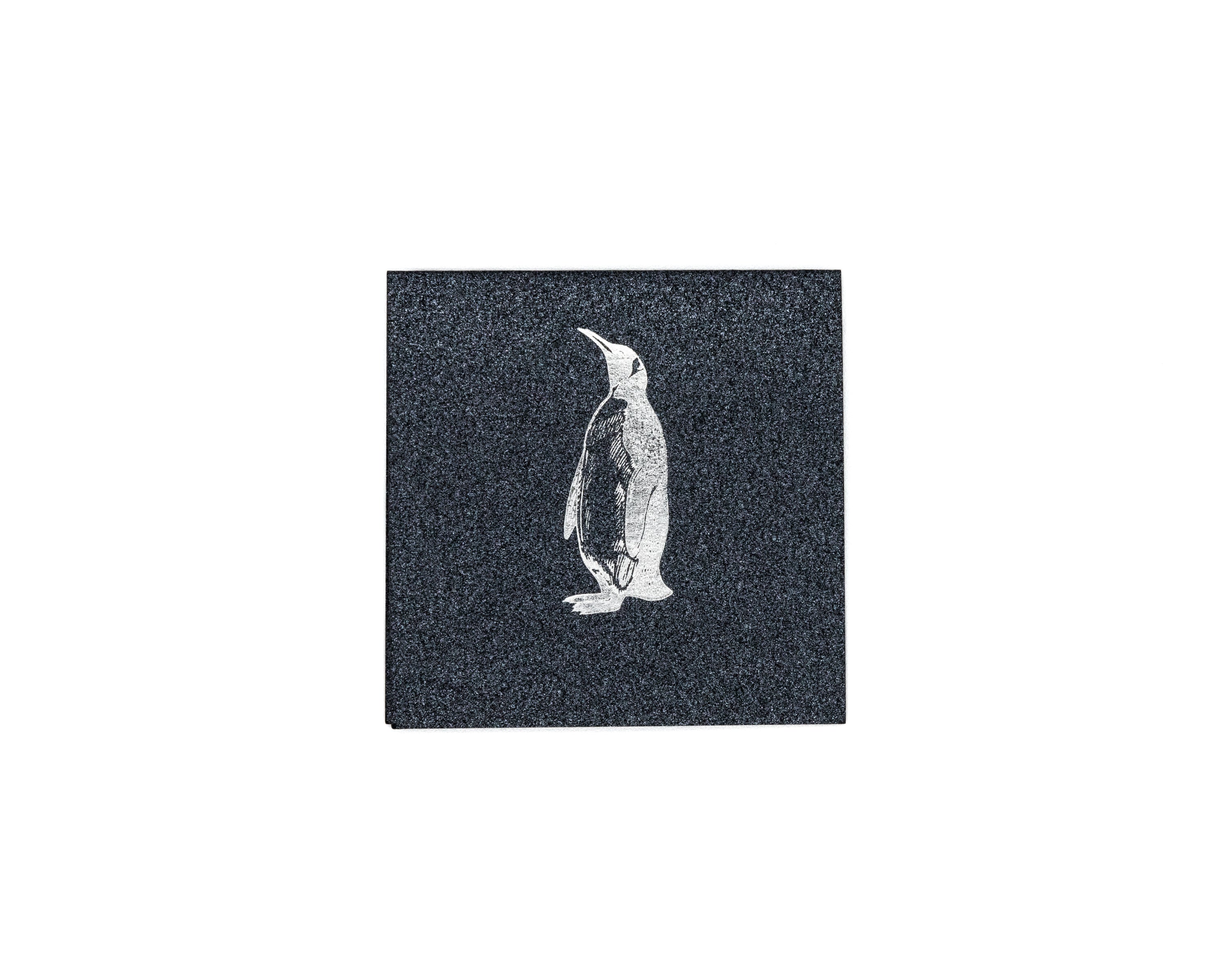 Tarjeta Pingüino Mini Doble | NATURALEZA | Scribanus